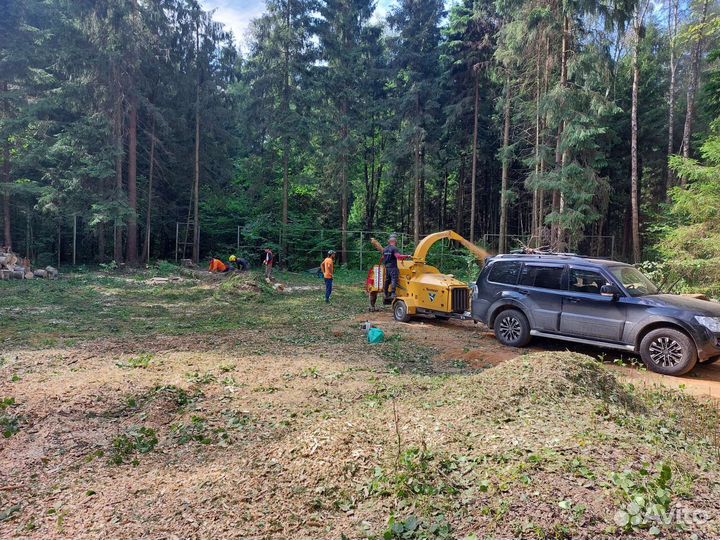 Спил и удаление деревьев расчистка участка