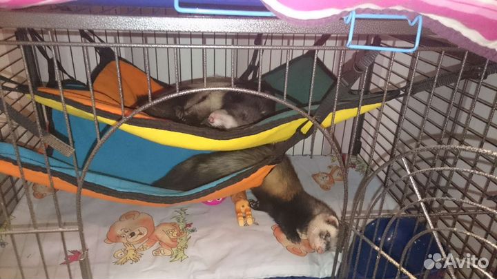 Клетка Credo d801