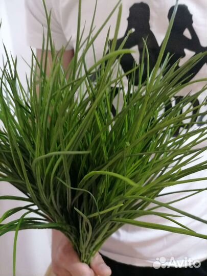 Кокосовое волокно, эвкалипт, трава для декора