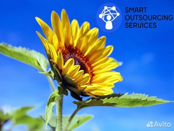 Комплектовщик-Кладовщик Еженедельные выплаты