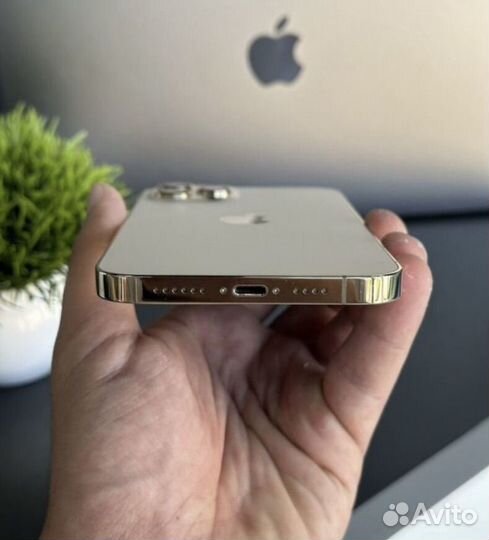 iPhone 12 Pro Max, 128 ГБ