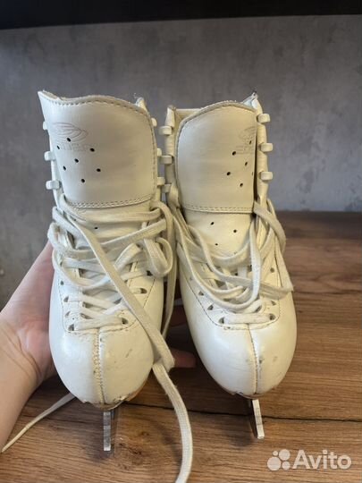 Фигурные коньки edea 210