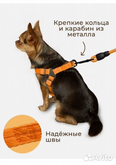 Шлейка для небольшой собаки