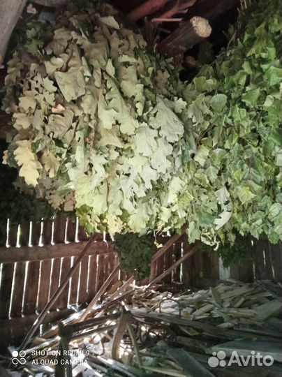 Продам веники для бани, берёзовые