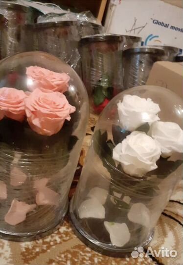 Роза в колбе