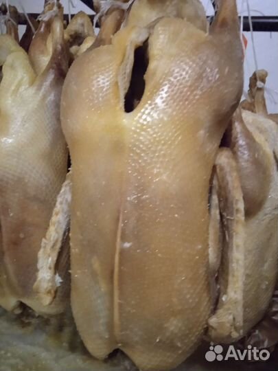 Гуси вяленые (каклаган) хэлэл