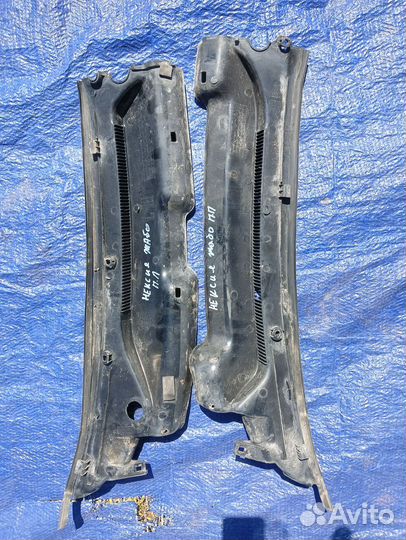 Жабо дэу нексия