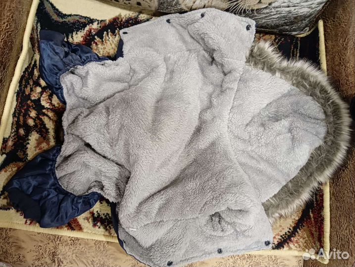 Комбинезон на маленькую собаку