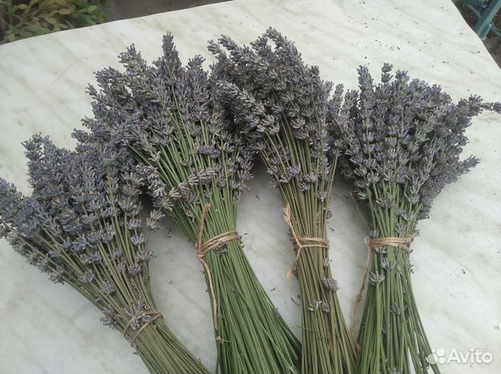 Лаванда (сухоцвет), саше