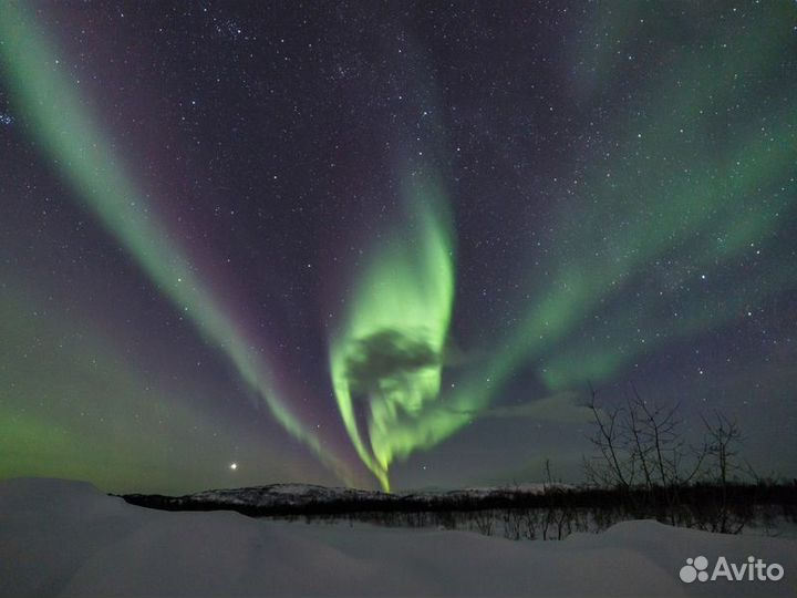 Экскурсия — Мурманск — Фото-охота за северным сиян