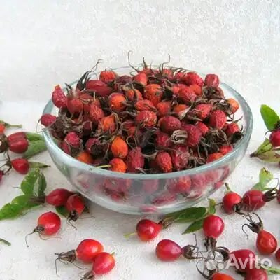 Шиповник сушеный