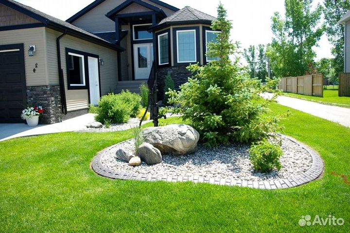 Газонная трава в рулонах в наличии