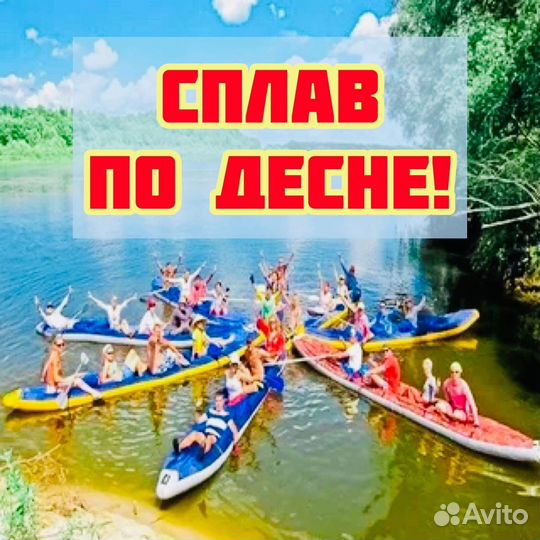 Сплав по десне