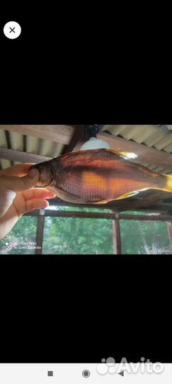 Рыба лещ вяленый