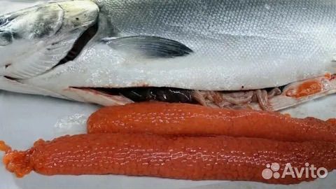 Рыба морская и речная от мешка