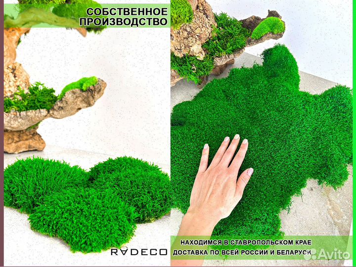 Стабилизированный мох ковер ягель кочка