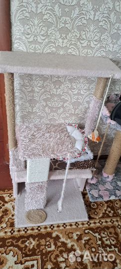 Домик когтеточка