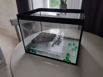Аквариум для черепахи