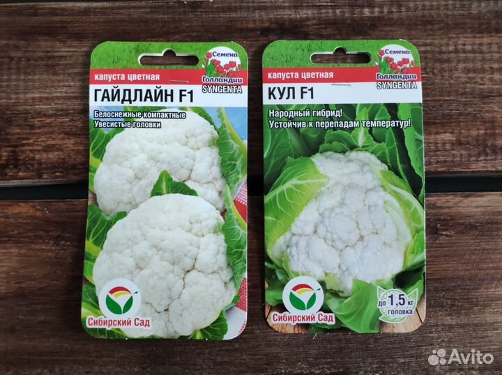 Семена цветной капусты