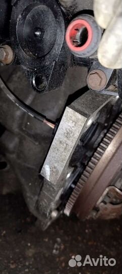 Двигатель Ford Focus 1 (1998 - 2005) 1.6 fydb