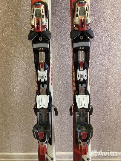 Горные лыжи