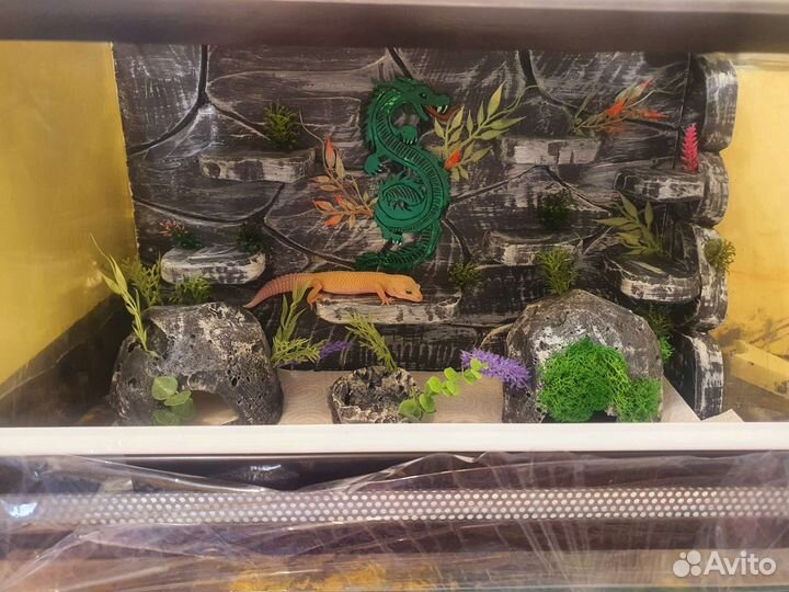 Оформление террариума 