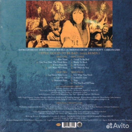 Виниловая пластинка Warner Music Whitesnake - Stil