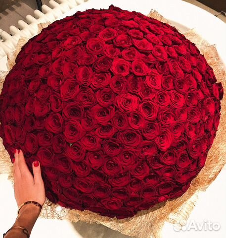 Букет из 101 красная розы Цветы Букет Красноярск