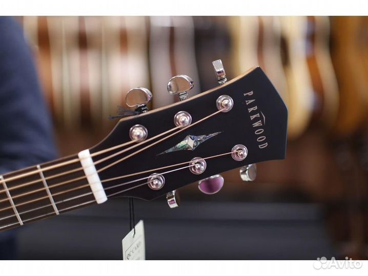 Parkwood S22M-NS с чехлом акустическая гитара
