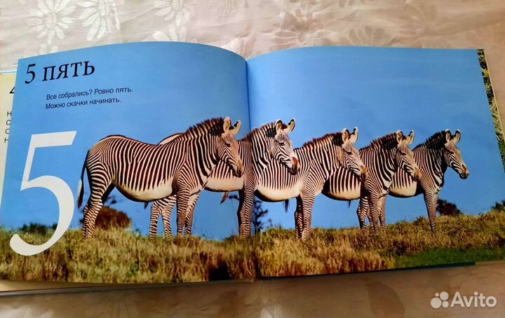 Развивающая книга