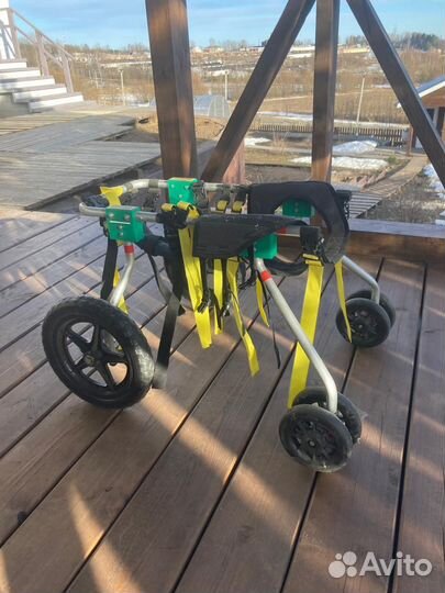 Коляска для собаки-инвалида