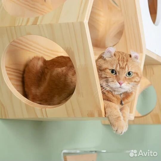 Прогулочно- развлекательным комплексом для кошек