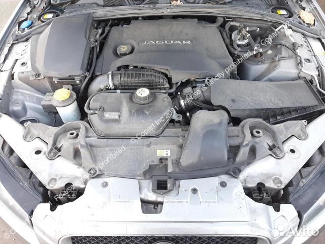 Разбирается на запчасти jaguar XF 2013г 306DT