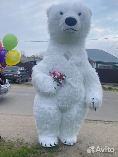 Большой белый мишка и Чебурашка