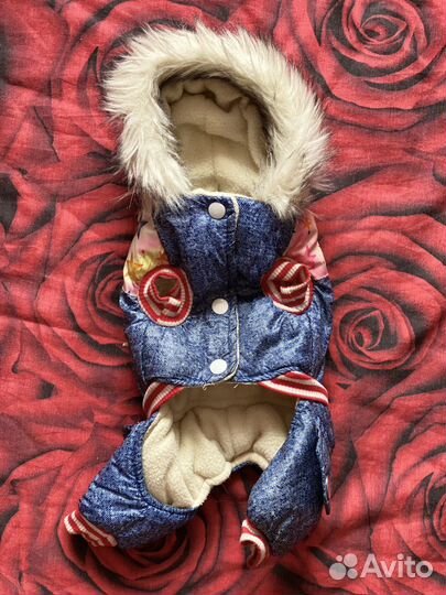 Одежда для маленьких собак s