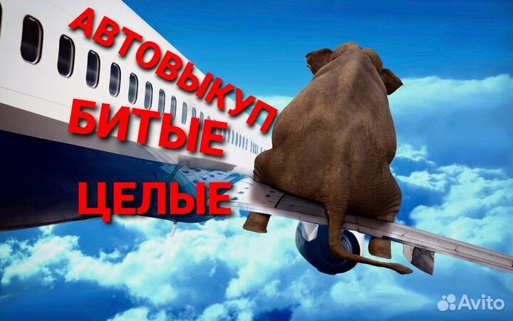 Выкуп Авто Автовыкуп Битые Целые нерабочие ржавые