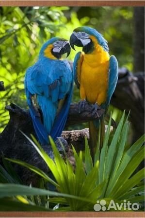 Электрообогреватель настенный «Домашний очаг» попу