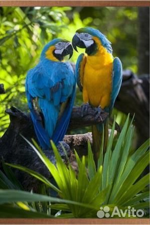 Электрообогреватель настенный «Домашний очаг» попу