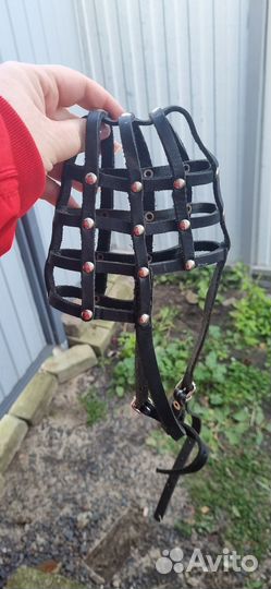Намордник кожаный, ошейник, шлейка