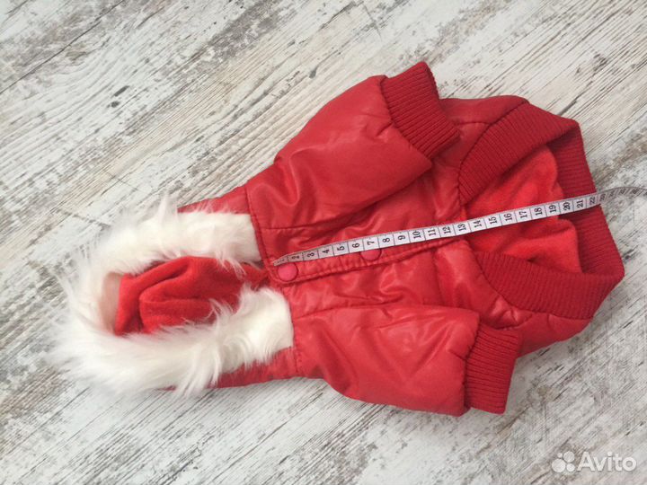 Теплая одежда для собак
