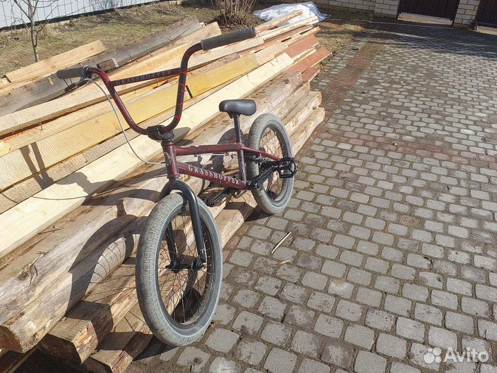 Bmx tech team grasshopper