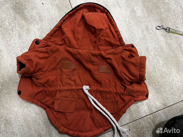 Одежда для собак