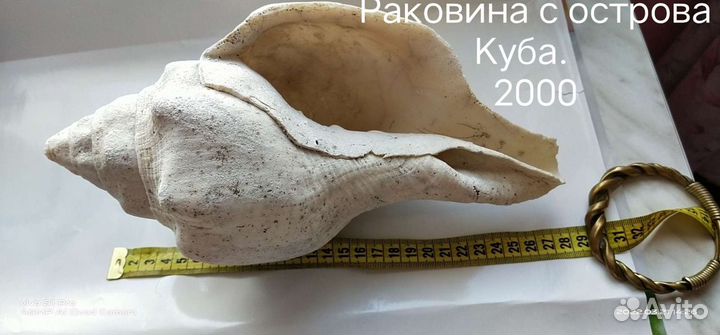 Камни коралловые натуральные, раковины морские