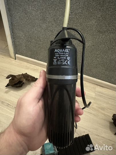 Коряга манговая,фильтра и ракушки