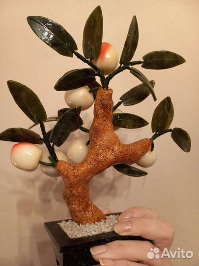 Дерево персиковое