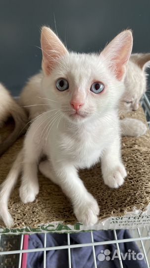 Мальчик с грустным лицом