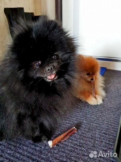 Фигурные лакомства. Без химии