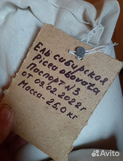 Семена ели на заказ