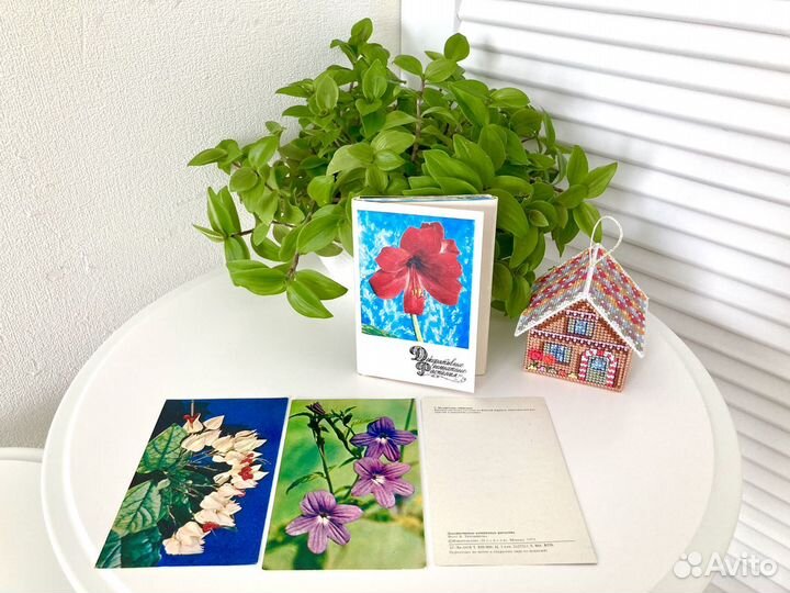 Наборы открыток СССР комнатные растения