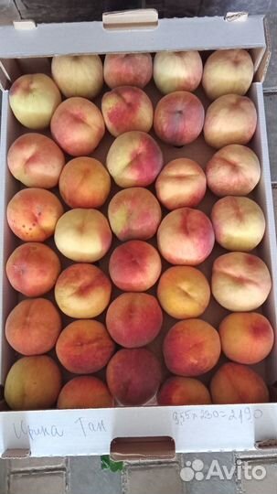 Персик оптом и в розницу